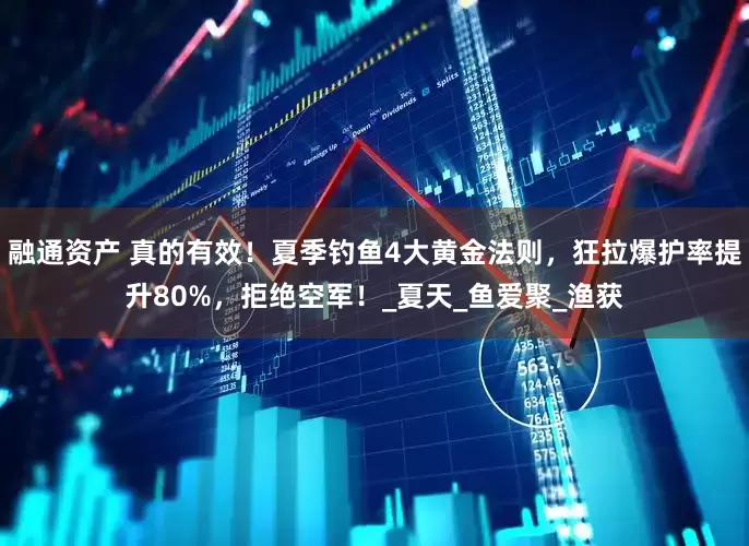 融通资产 真的有效！夏季钓鱼4大黄金法则，狂拉爆护率提升80%，拒绝空军！_夏天_鱼爱聚_渔获
