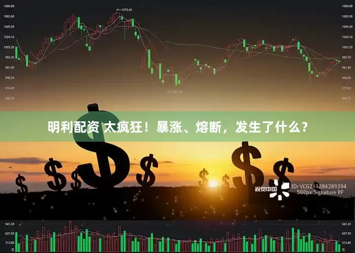 明利配资 太疯狂！暴涨、熔断，发生了什么？